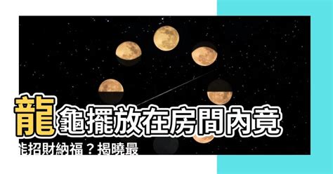 龍龜擺放房間|龍龜可放房間嗎？風水大師公開擺放技巧，教你消災擋煞招好運！